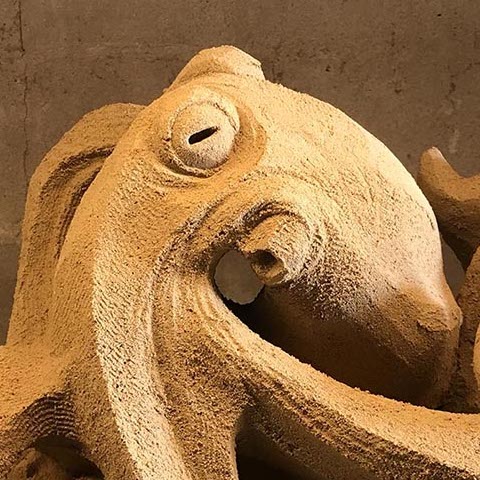 Octopus sand sculpture